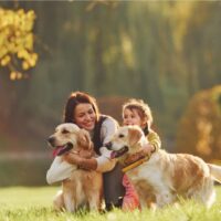 mother and daughter walking golden retrievers