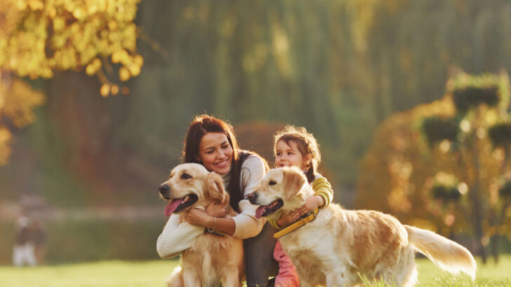 Dog Breeders In America: Meet 50 American Breeding Stars
