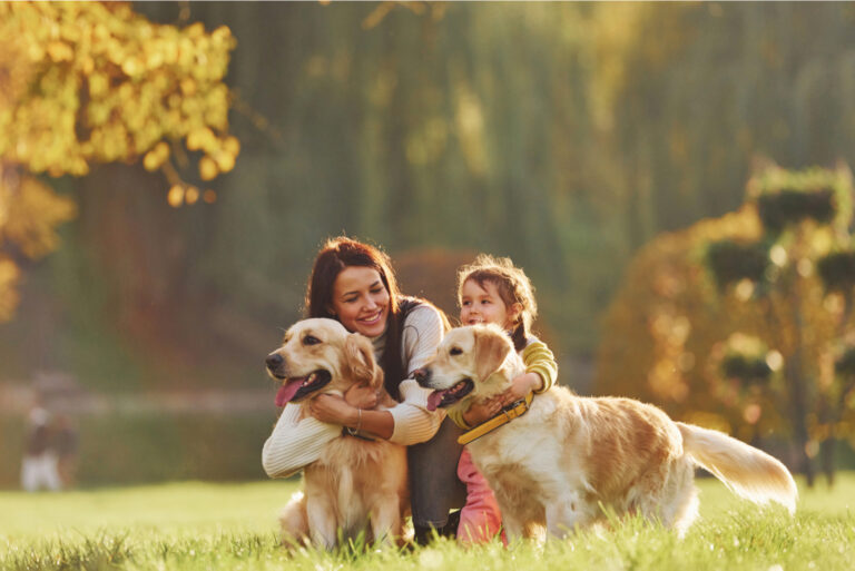 mother and daughter walking golden retrievers