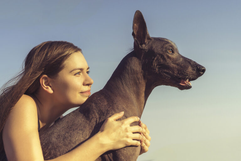 girl sitting and hugging her dog xoloitzcuintl