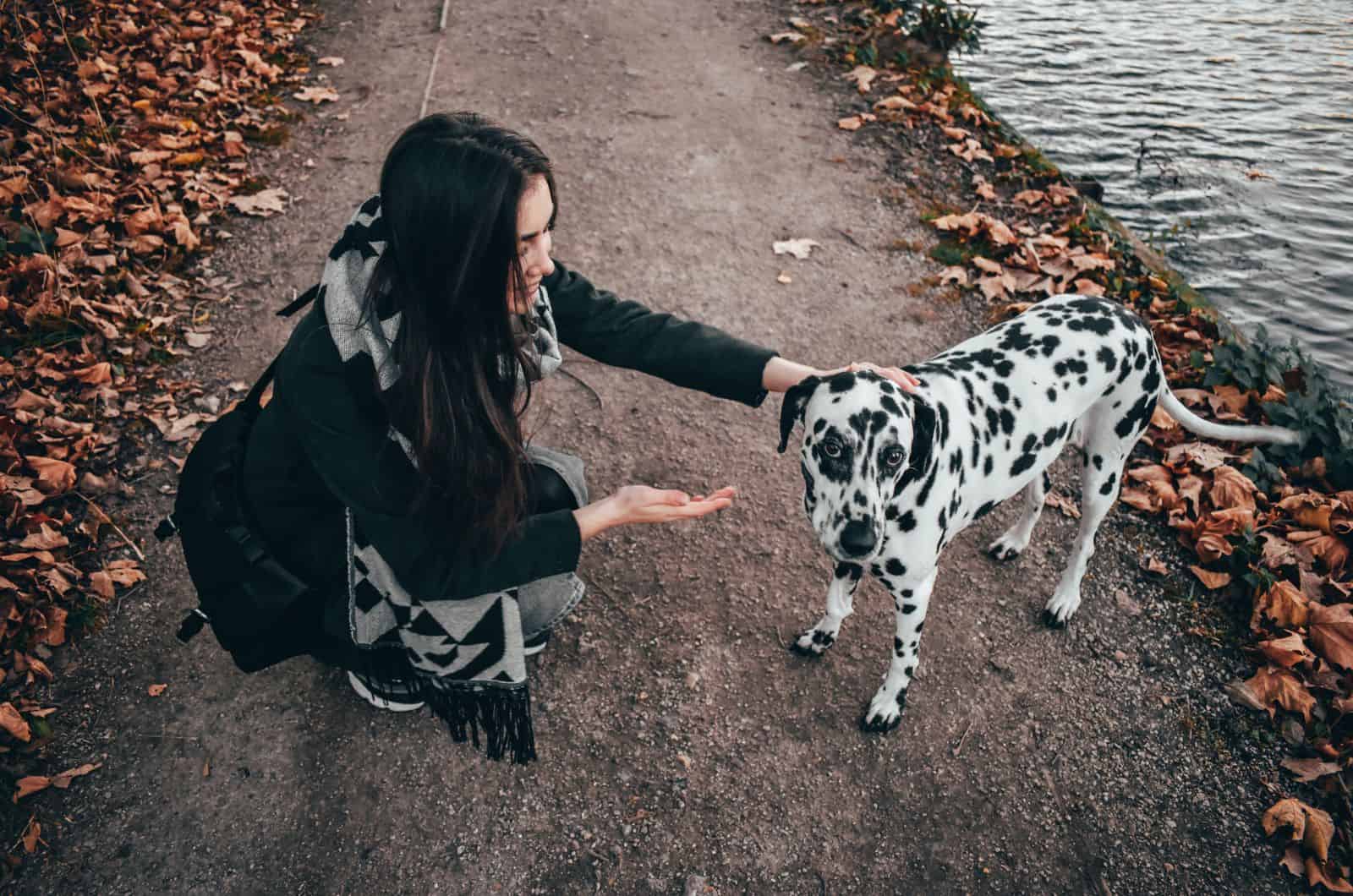girl and Dalmatian