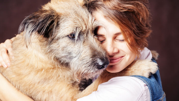 14 Admirable Dog Rescues In Wisconsin: Adopt, Don’t Shop