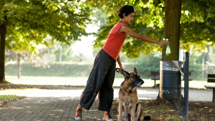 Best Dog Waste Disposal System: 13 Picks That Don’t Stink