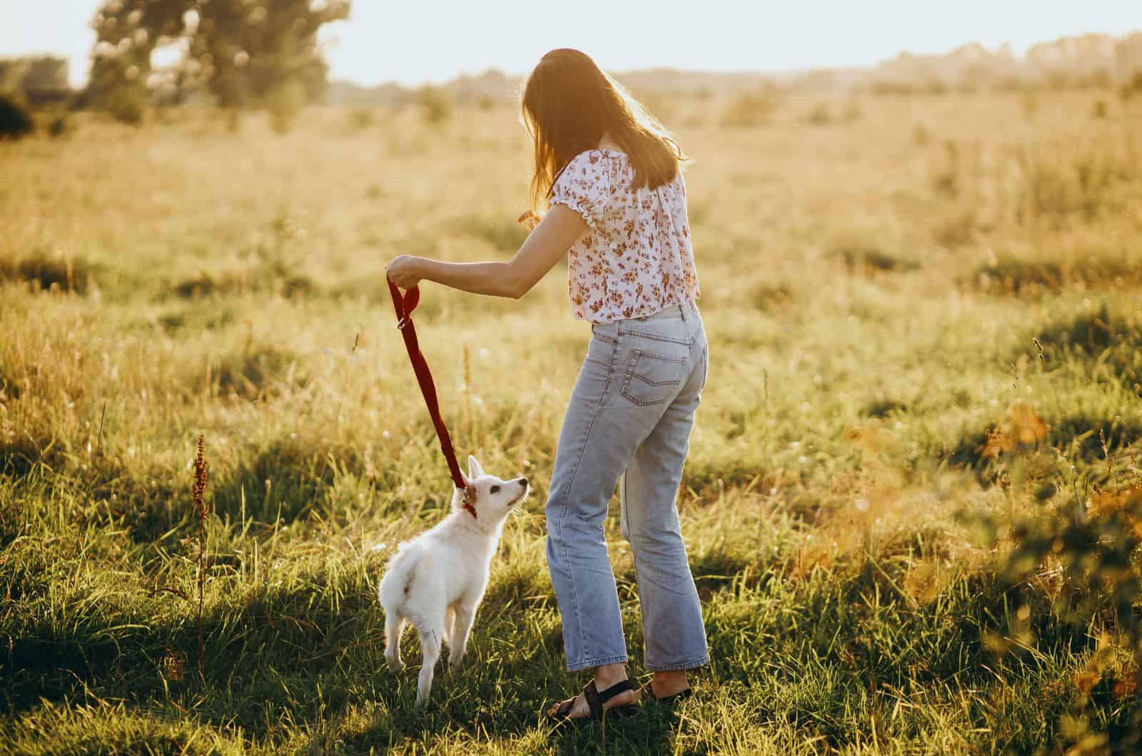 How Often Do You Walk Your Dog? Learn The Desirable Frequency