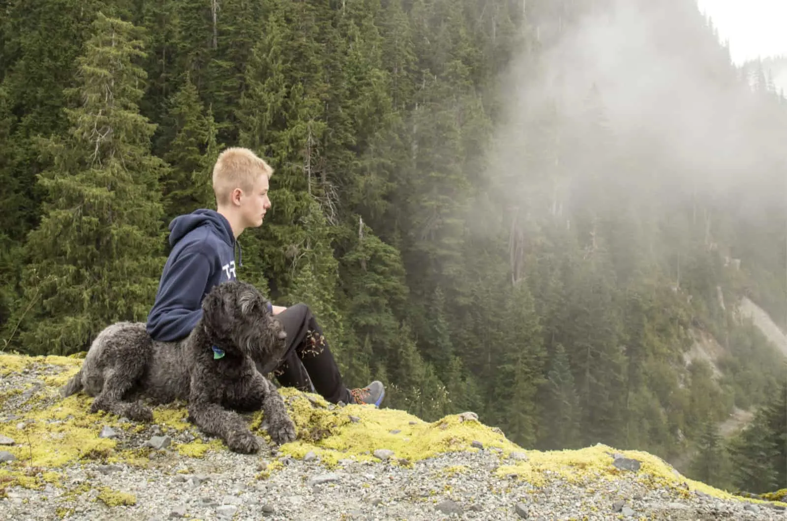 Irish Wolfhound Poodle Mix dog sitting with boy on cliff