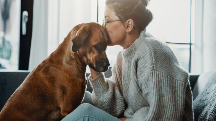 Prayers For A Sick Dog: 25 Inspiring Examples