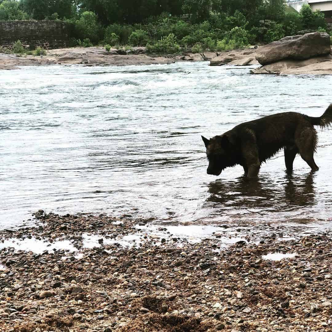 Southern Wind K9 in the water