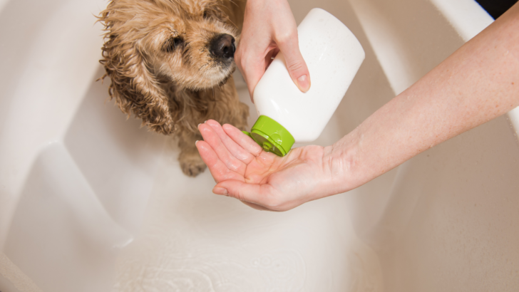 The 22 Best Smelling Dog Shampoos For All Coat Types