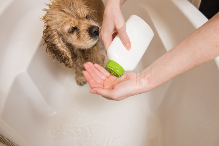 a woman bathes a dog in a bathtub