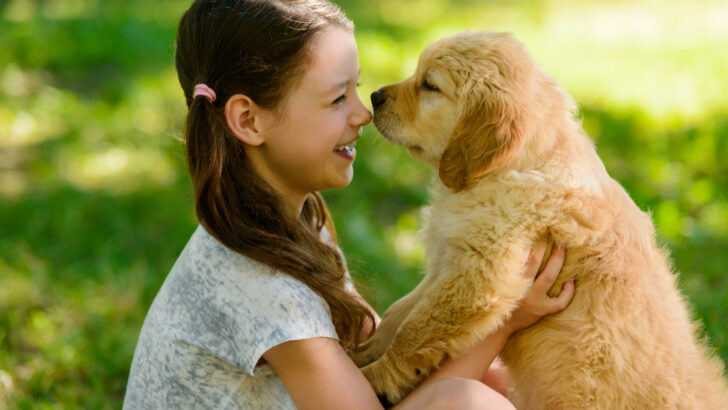 Top 9 Golden Retriever Breeders In Wisconsin