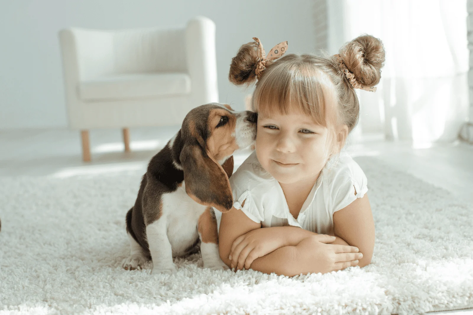 an adorable dog kisses a little girl lying on the floor