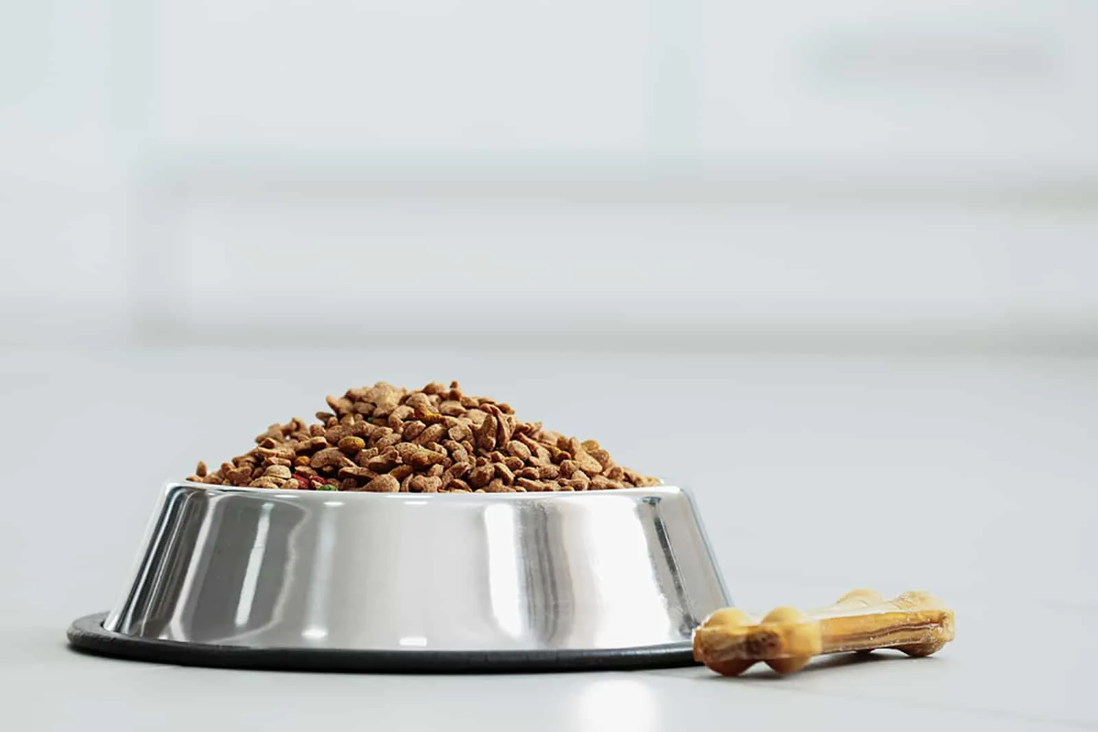 dry dog food in a metal bowl