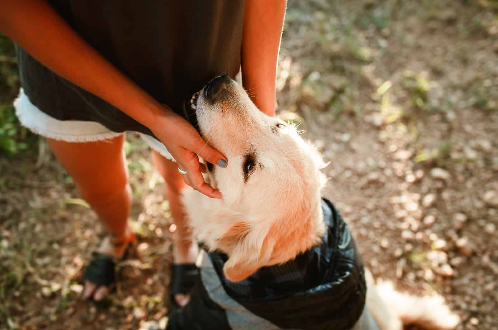 girl petting her dog