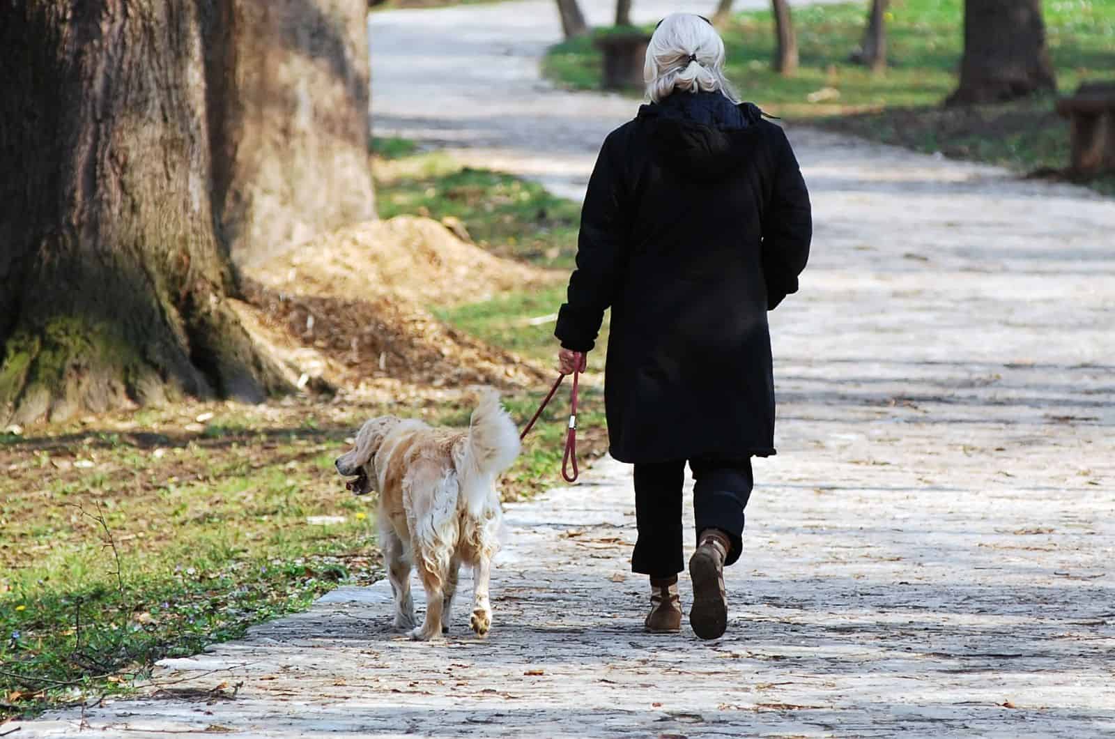 older woman walking her dog in park