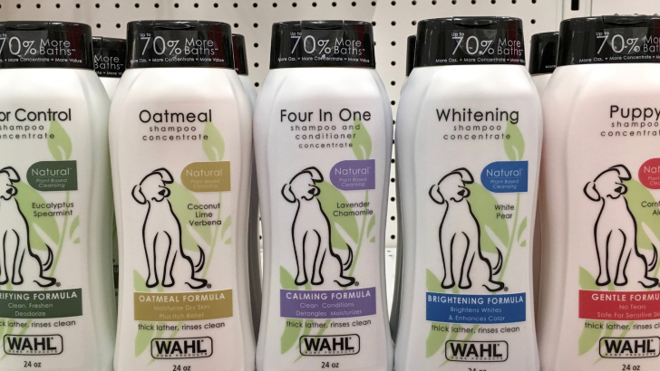 11 Best Shampoos For A Cavapoo: Pawsome Choices You’ll Love