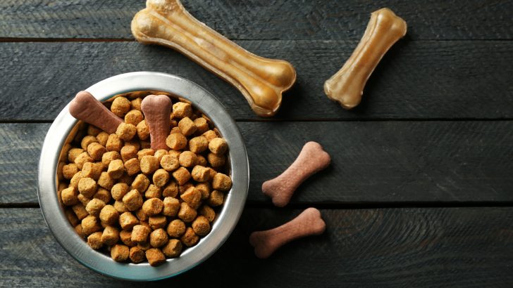 Best Dog Food For Cavapoo: 11 Meals This Crossbreed Will Love!