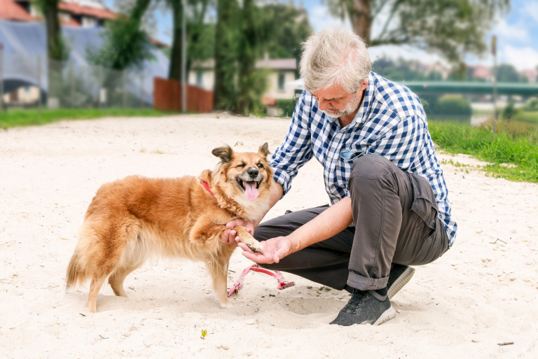 a man examines a dog's paw