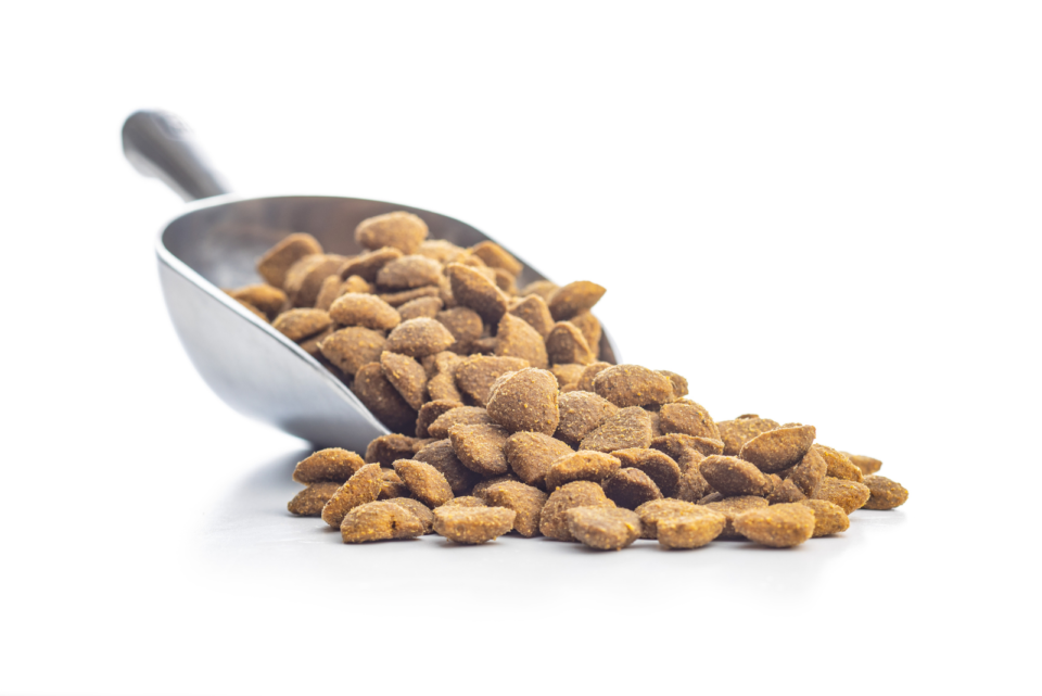 Pug Feeding Chart What To Feed Your Pug Bug