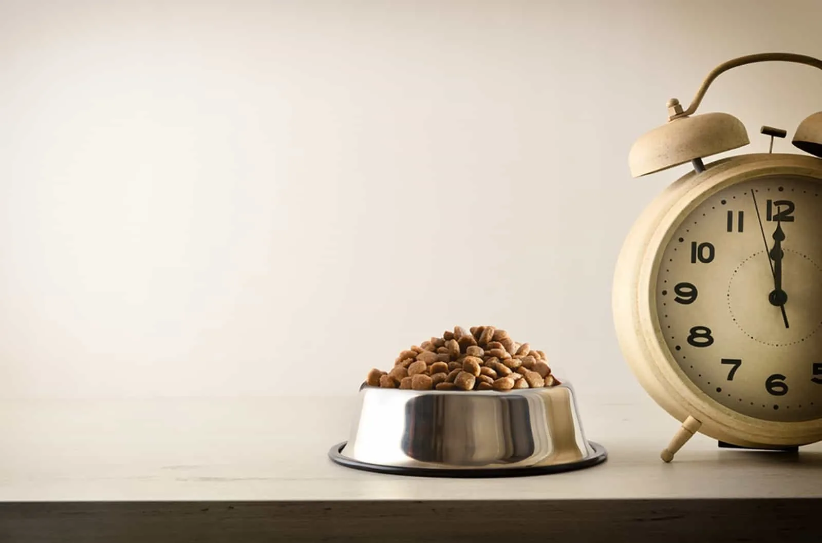 a bowl with dry food for dog and clock beside it