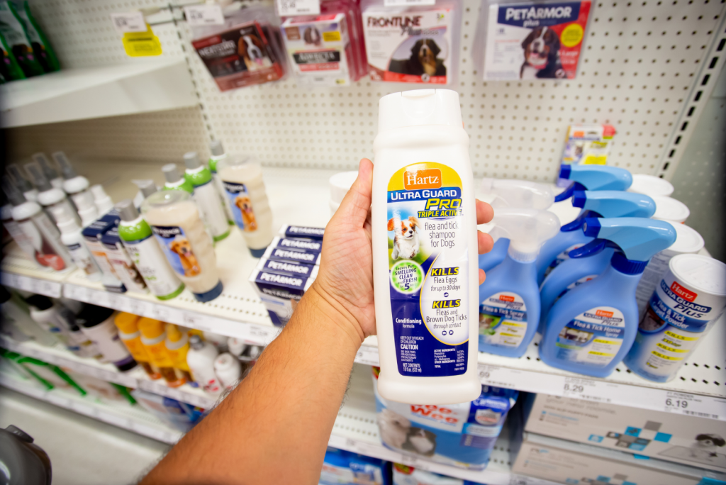 11 Best Shampoos For A Cavapoo Pawsome Choices You’ll Love