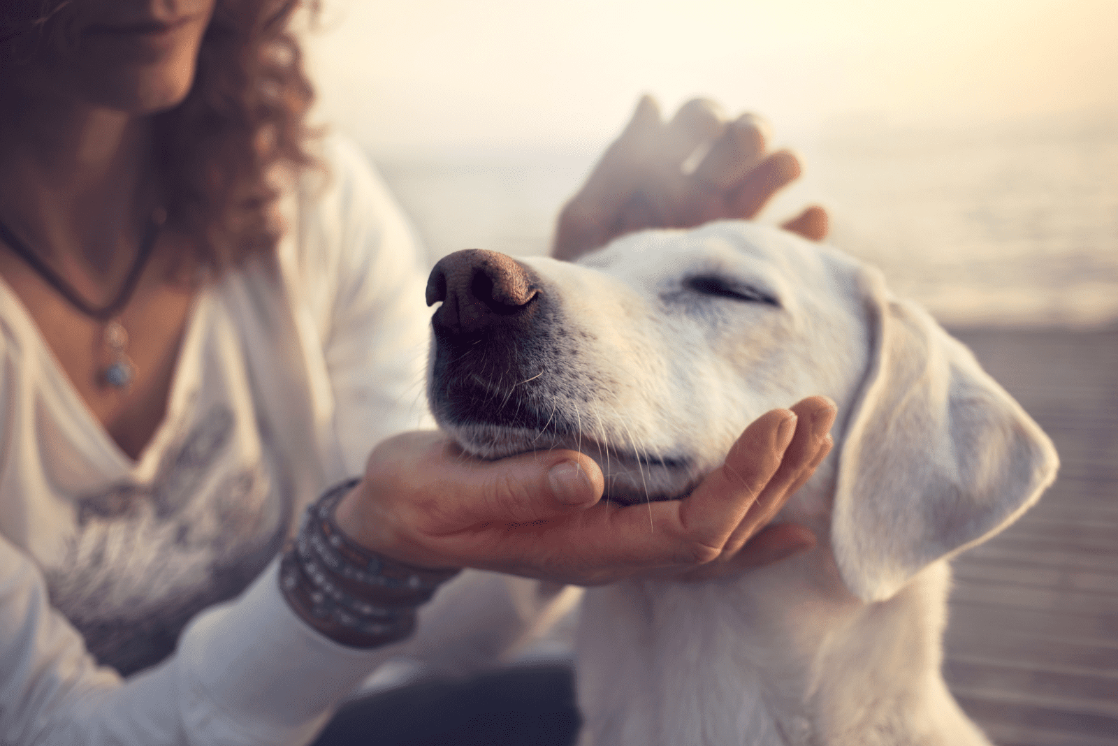 a woman petting a dog
