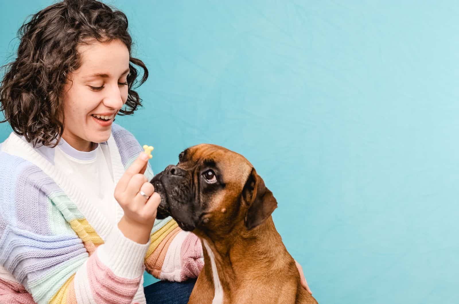 girl feeding Boxer