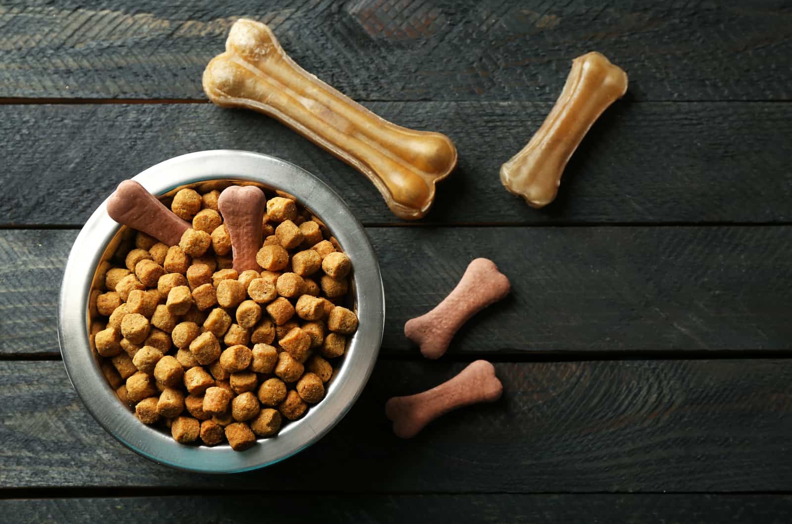 grey background and bowl with dog food