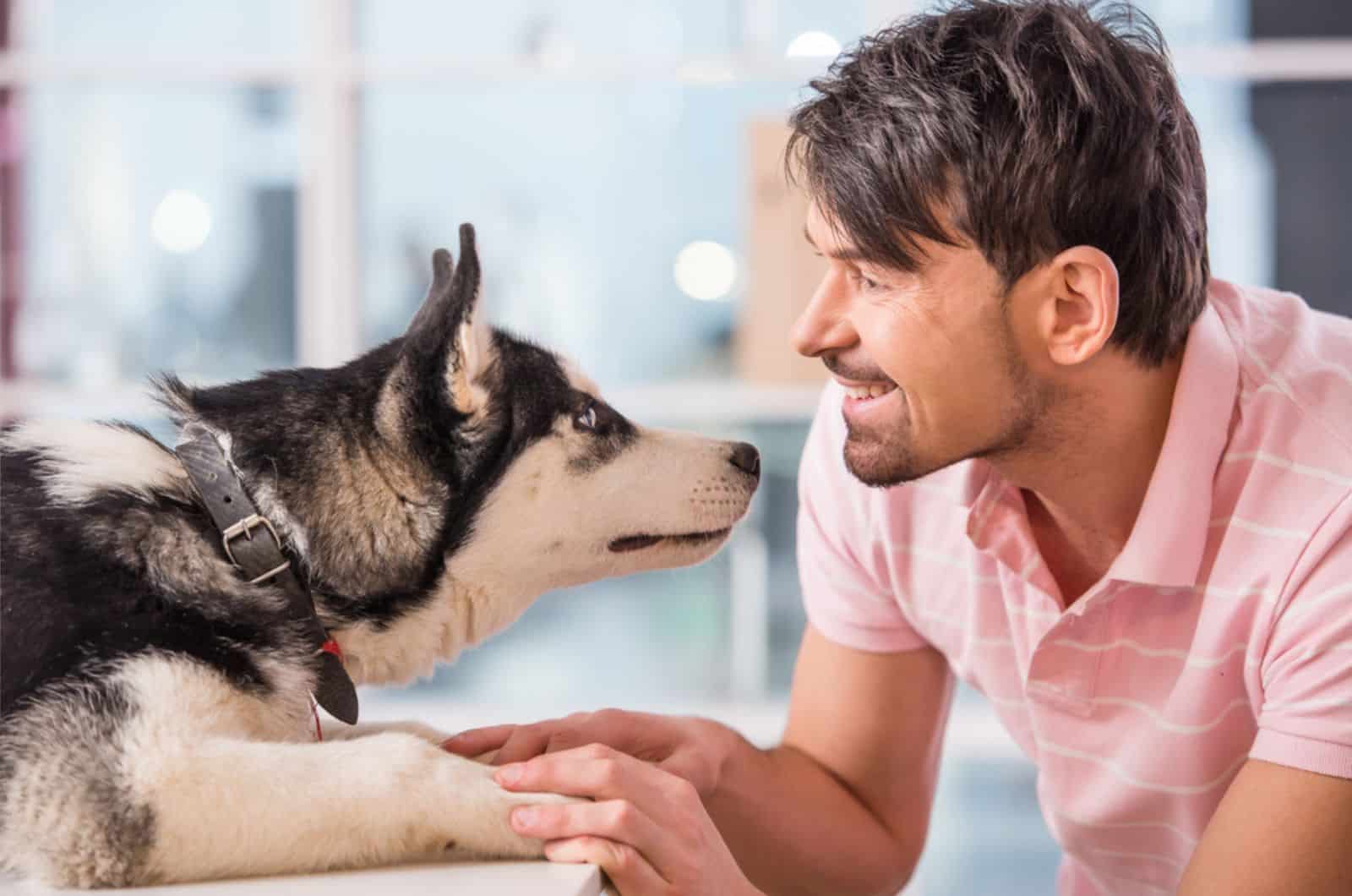 happy man is looking at dog