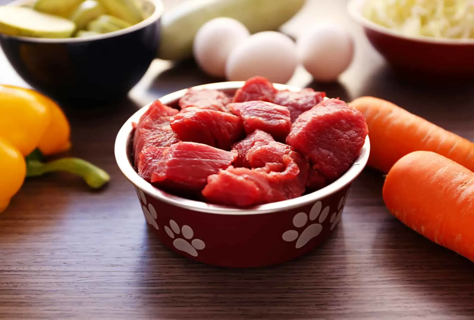 raw meat in a dog bowl on table with healthy food