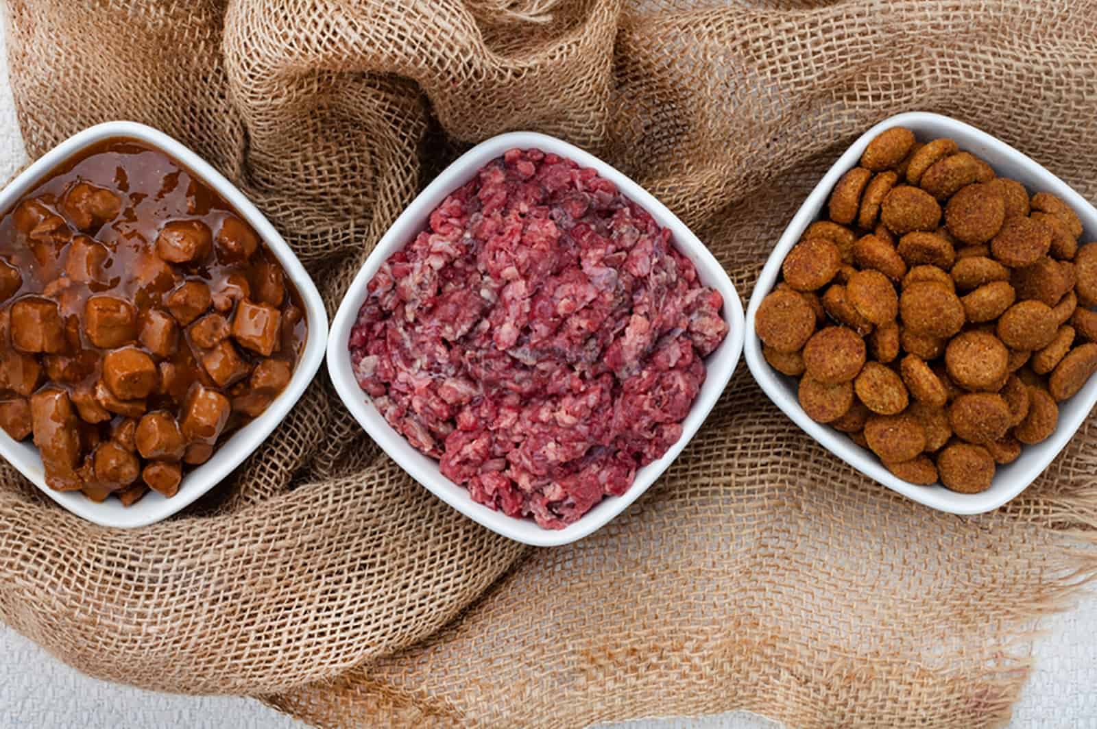 selection of dog food in bowls