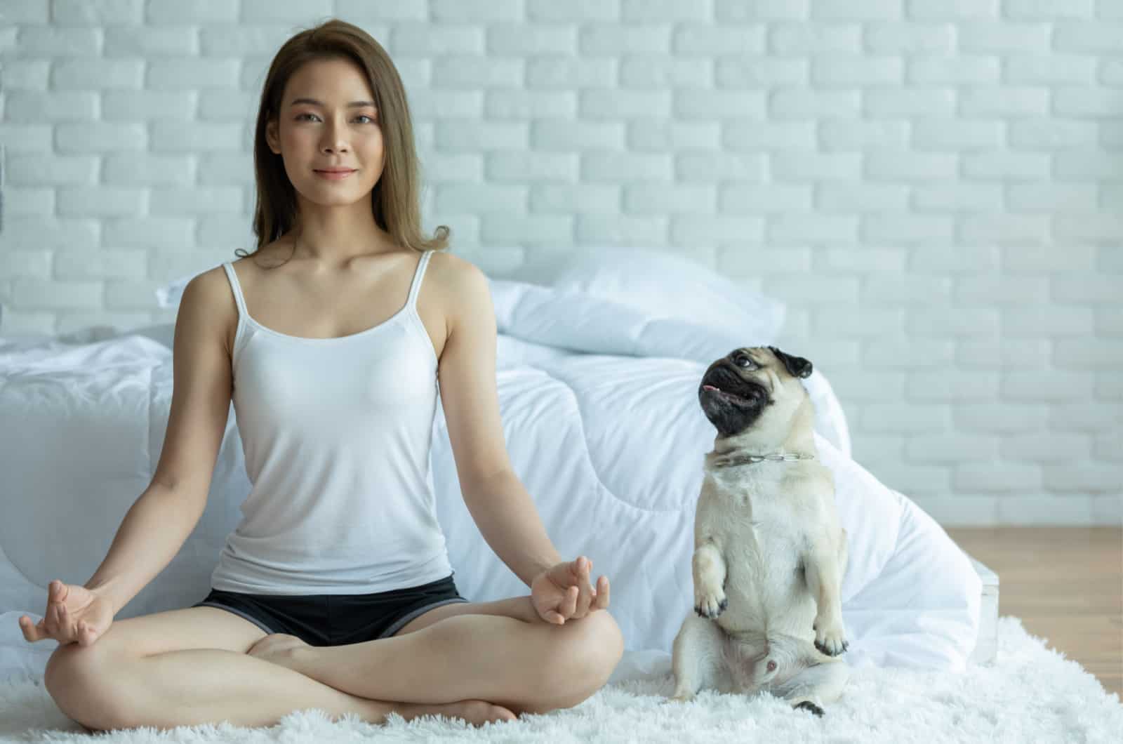 woman meditating with pug as company