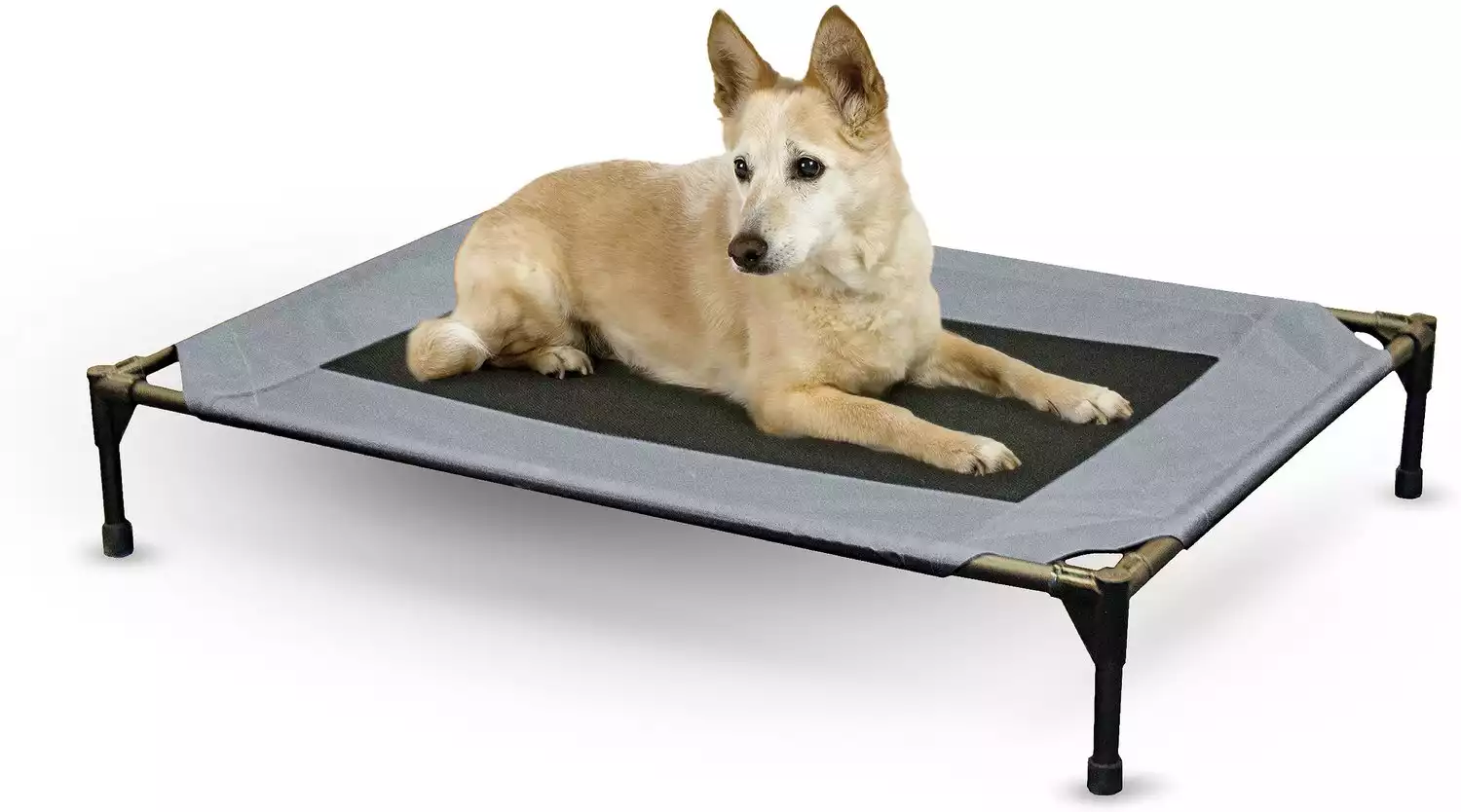 K&H Pet Products Original Pet Cot Elevated Pet Bed