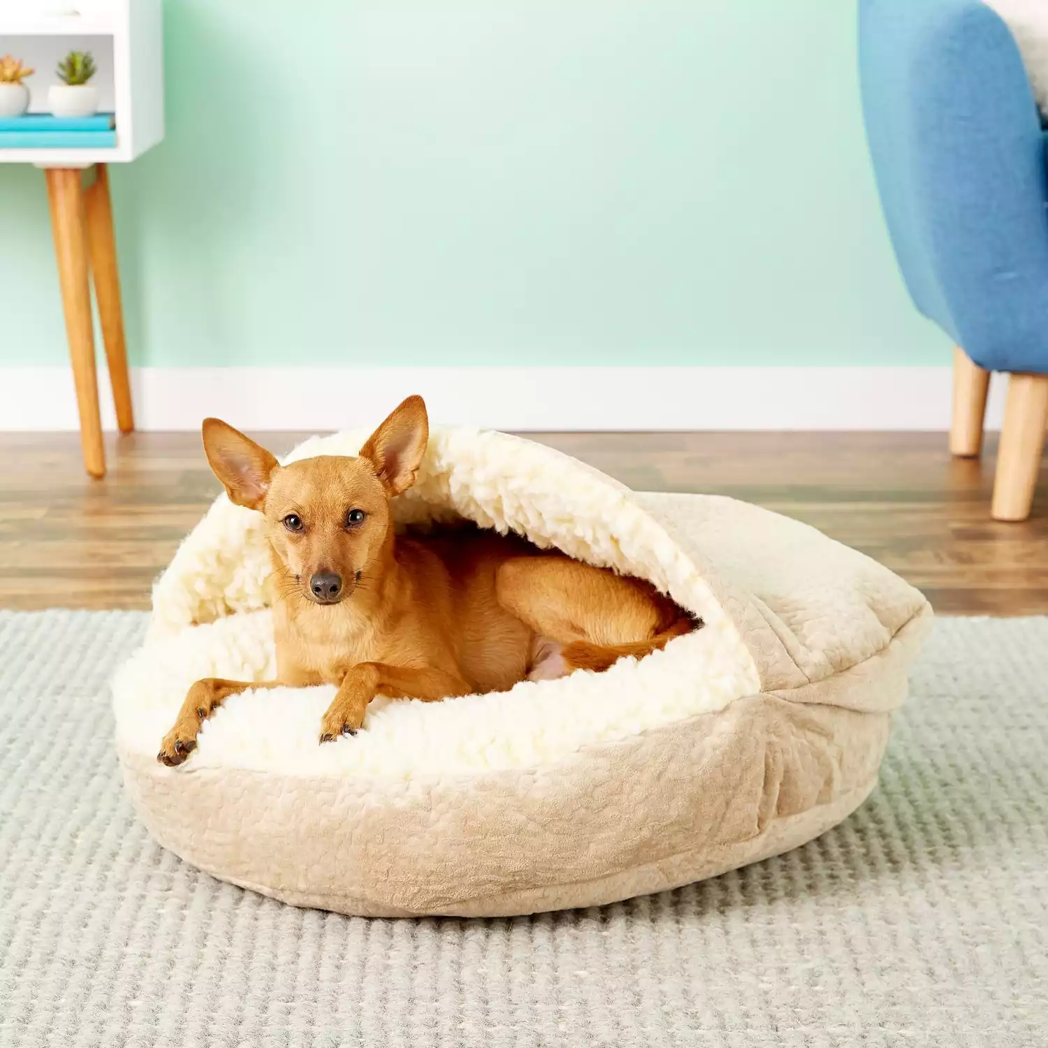 Snoozer Microsuede Cozy Cave Bed