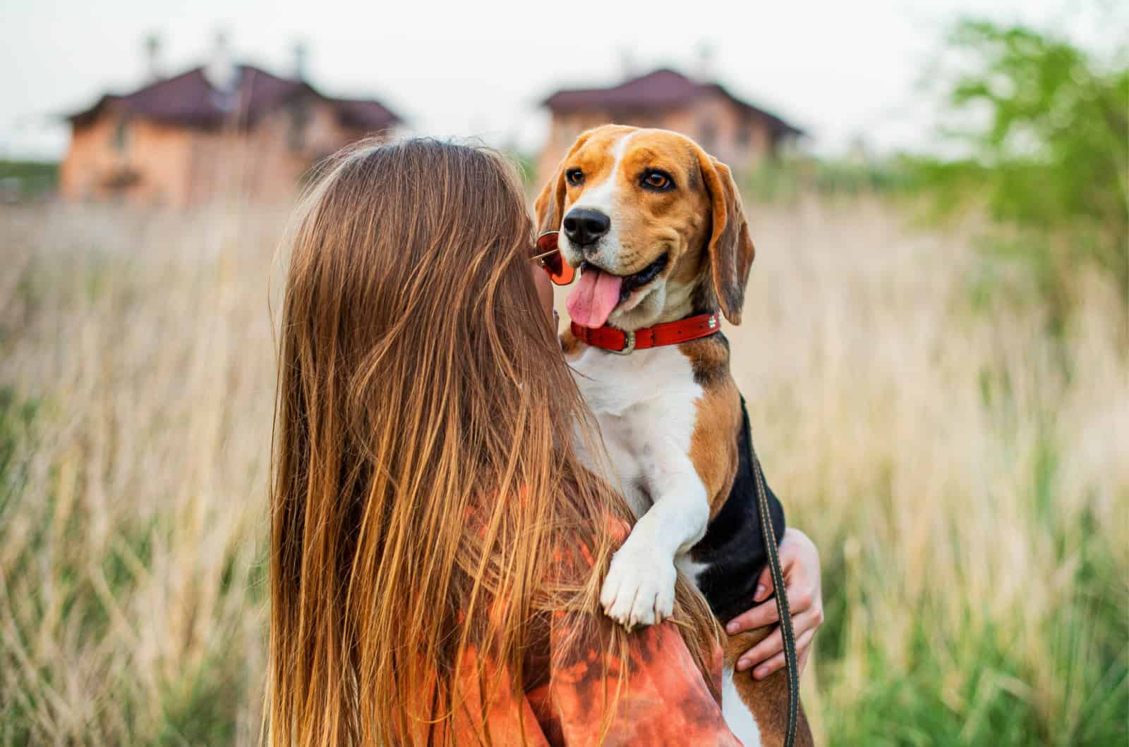 woman holding a beagle dog
