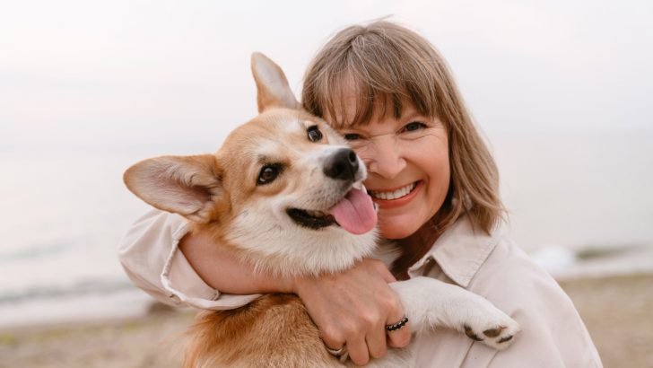 17 Low Energy, Medium-Sized Dogs + Some Lazy Dog Breeds