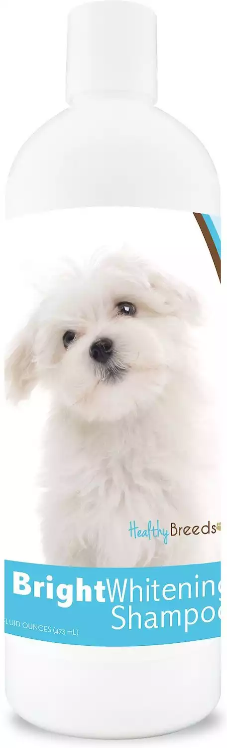 Healthy Breeds Maltese Bright Whitening Dog Shampoo