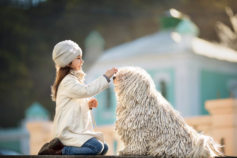 little girl playing with her dog
