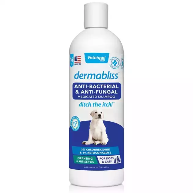 Dermabliss Medicated Anti-Bacterial & Anti-Fungal Medicated Shampoo