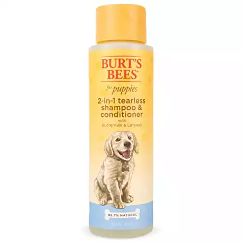 Burt’s Bees 2 In 1 Shampoo And Conditioner