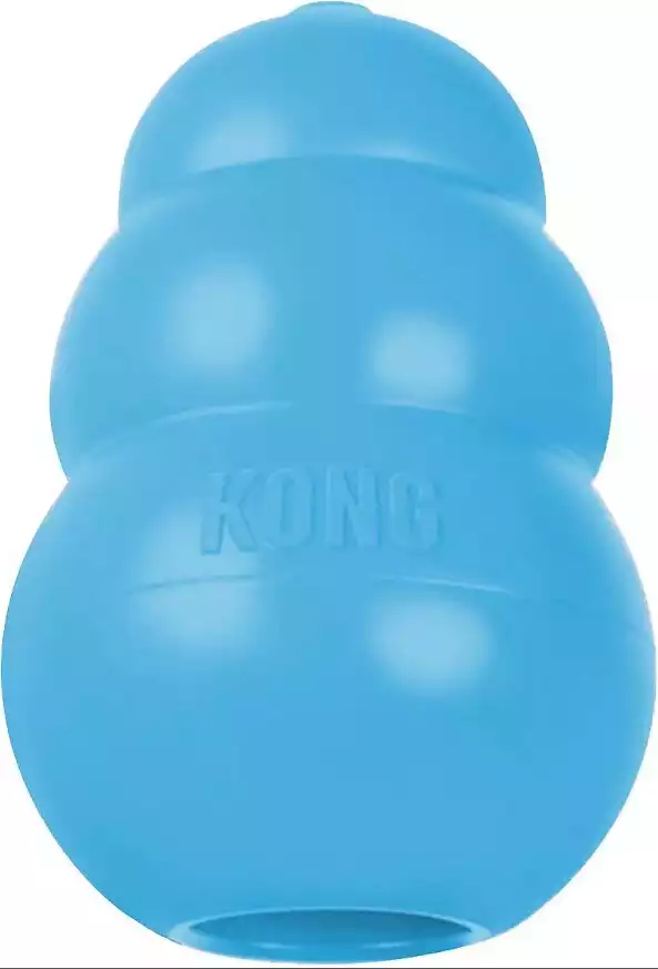 KONG Puppy Dog Toy