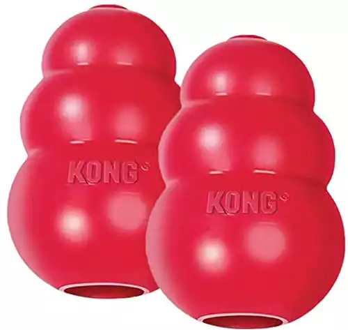 KONG Classic Medium Dog Toy