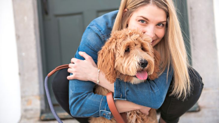 47 Dogs That Don’t Smell — Choose Your Favorite Odorless Dog