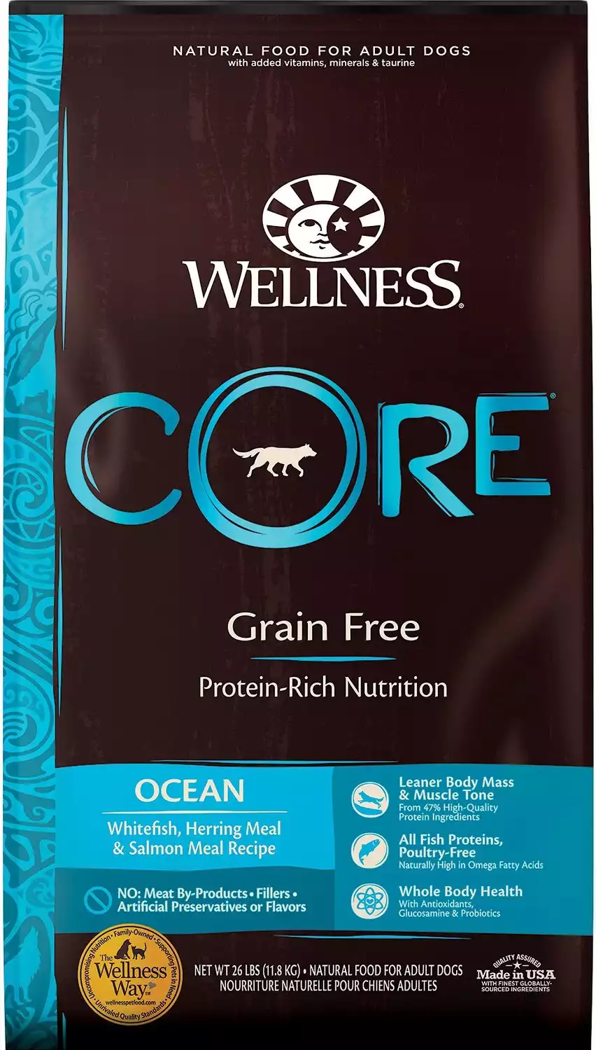 Wellness CORE Dry Dog Food