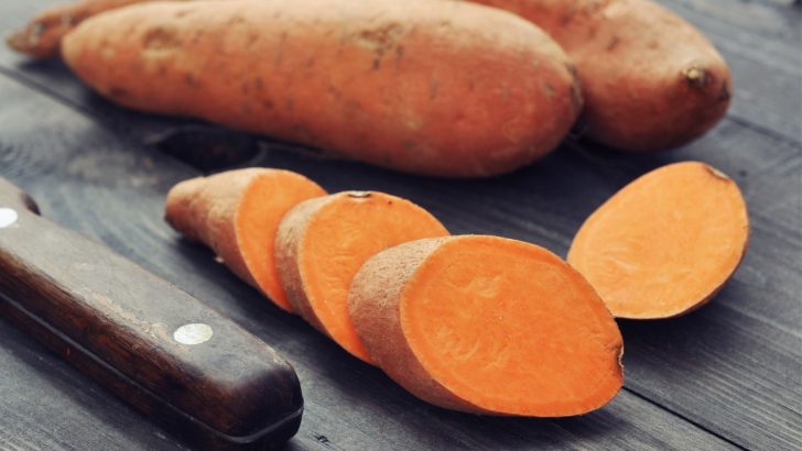 5 Michelin Recipes On How To Cook Sweet Potatoes For Dogs
