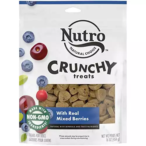 NUTRO Crunchy Dog Treats with Real Mixed Berries