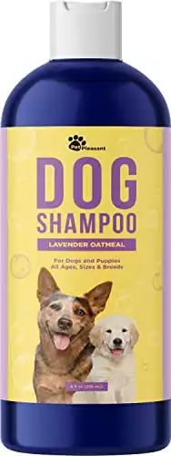 HONEYDEW’s Moisturizing Lavender and Oatmeal Shampoo for Dogs