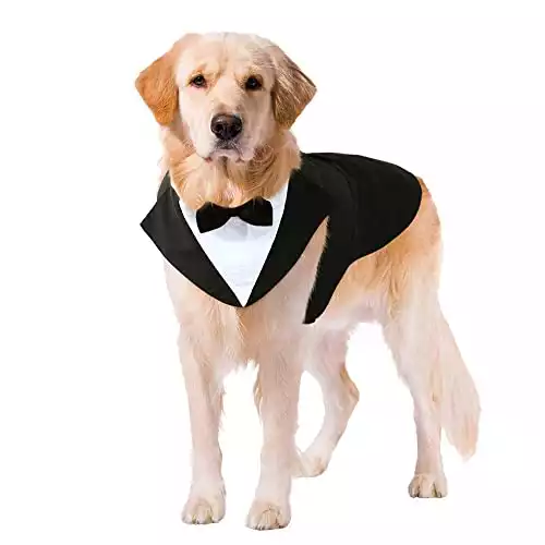 Kuoser Dog Tuxedo Dog Suit and Bandana Set