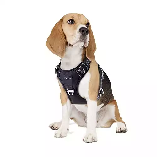 Funfox Medium Dog Harness