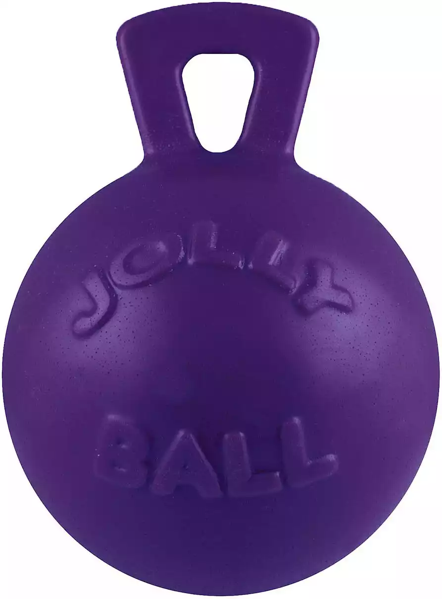 Jolly Pets Tug-n-Toss Jolly Ball