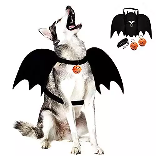 Legendog Dog Bat Wings With Dog Leash And Pumpkin Bells